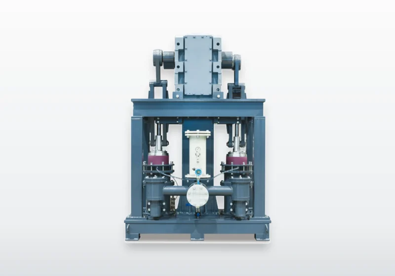 Diaphragm feed pump on its skid